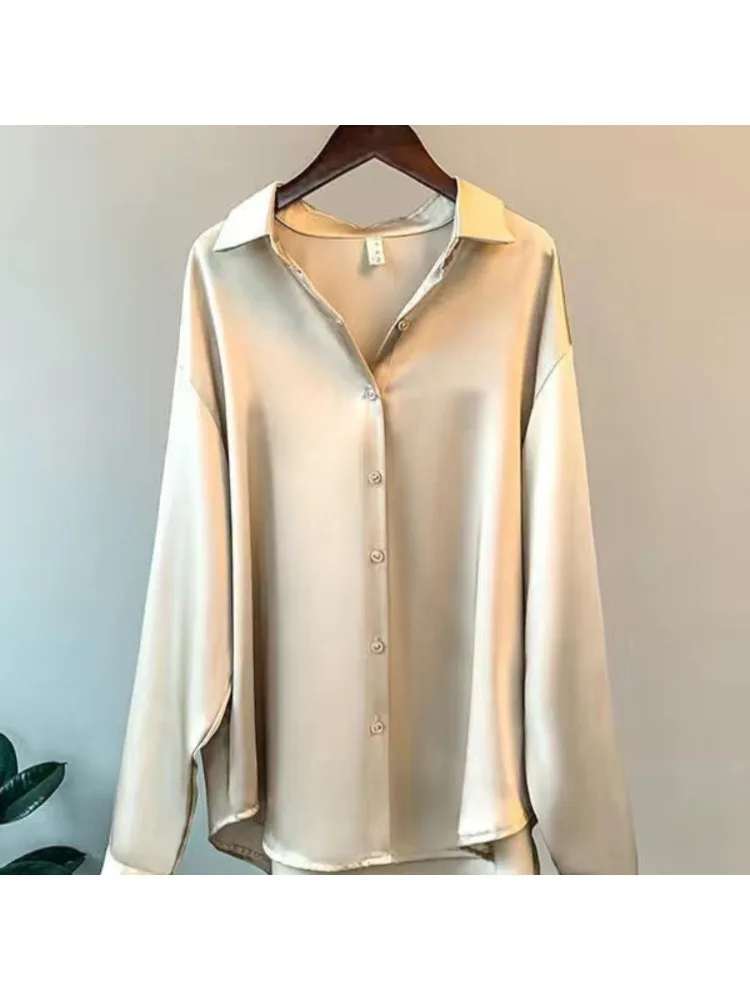 Camicia Casual da Donna Taglie - Women'S Formal Wear Blouse recensione e prezzo