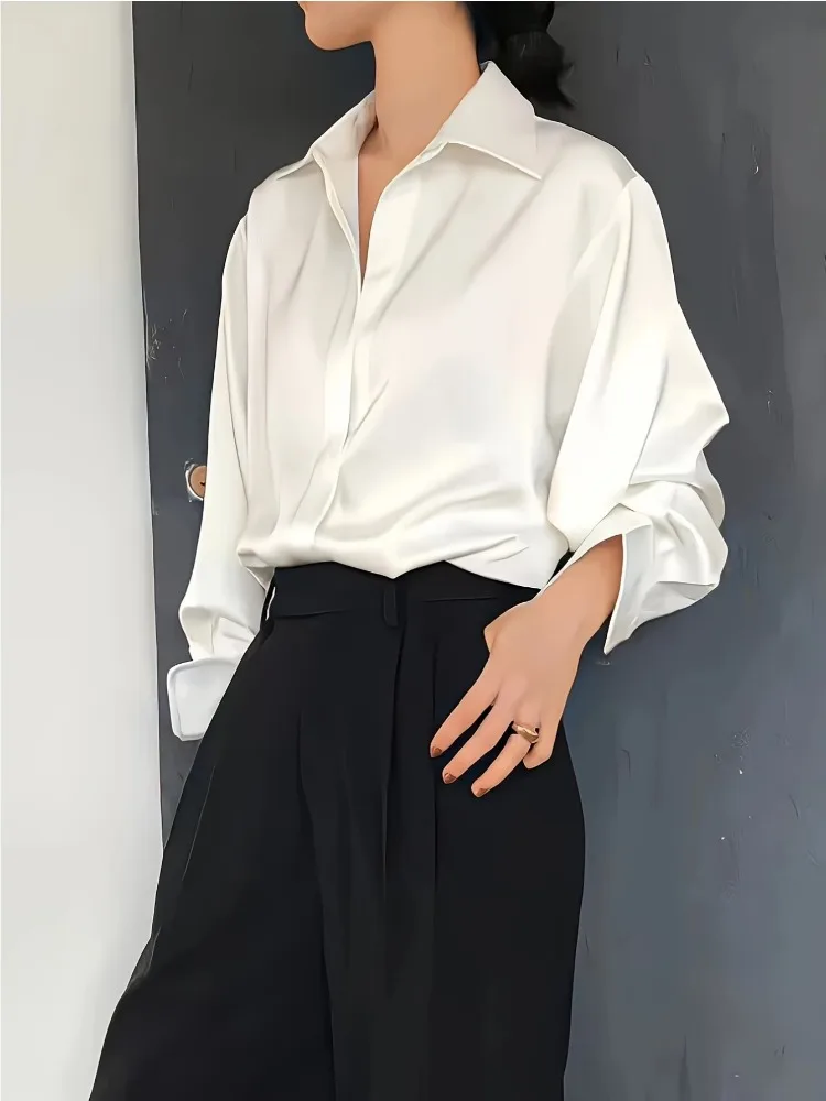 Camicia Casual da Donna Taglie - Women'S Formal Wear Blouse recensione e prezzo
